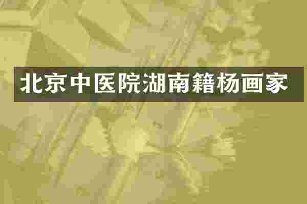北京中医院湖南籍杨画家