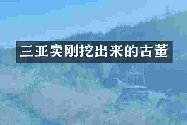 三亚卖刚挖出来的古董