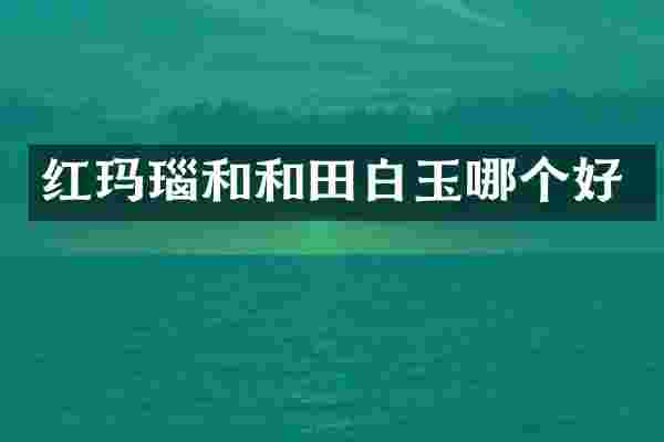 红玛瑙和和田白玉哪个好