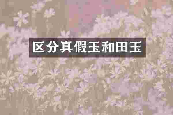 区分真假玉和田玉