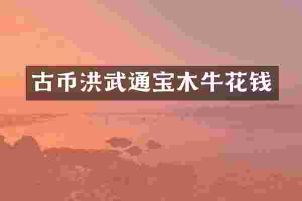古币洪武通宝木牛花钱