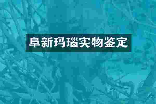 阜新玛瑙实物鉴定