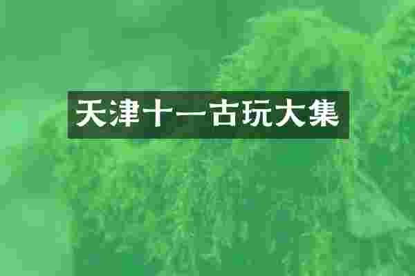 天津十一古玩大集