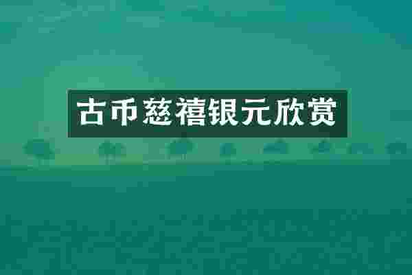 古币慈禧银元欣赏