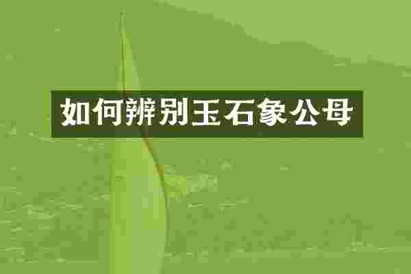 如何辨别玉石象公母