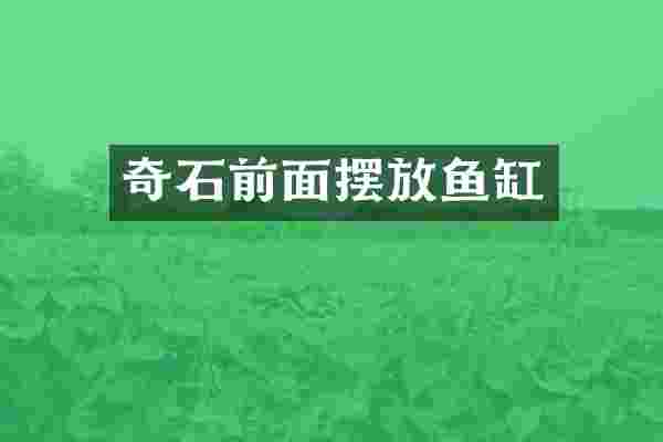 奇石前面摆放鱼缸