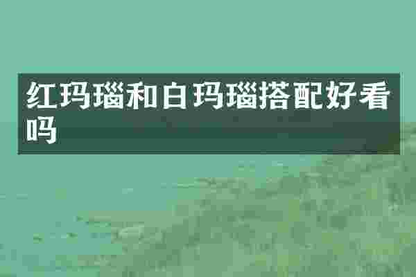 红玛瑙和白玛瑙搭配好看吗