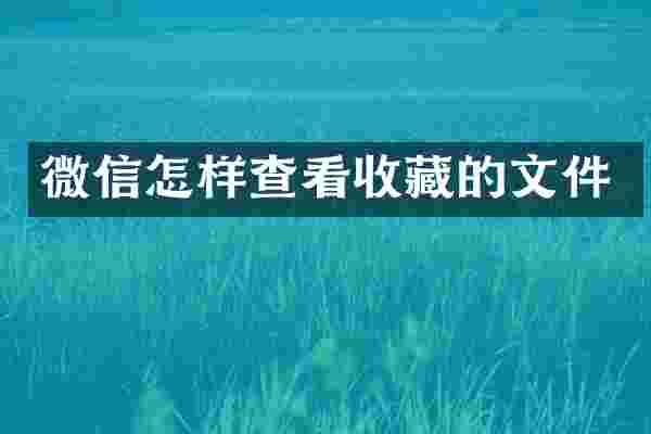 微信怎样查看收藏的文件