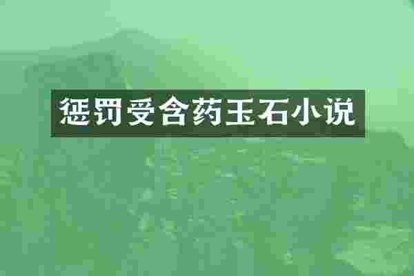 惩罚受含药玉石小说