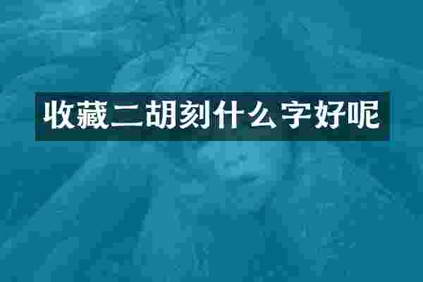 收藏二胡刻什么字好呢