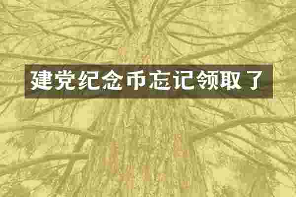 建党纪念币忘记领取了