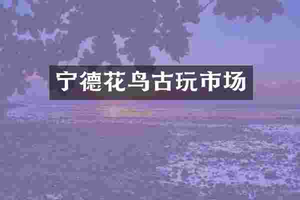 宁德花鸟古玩市场