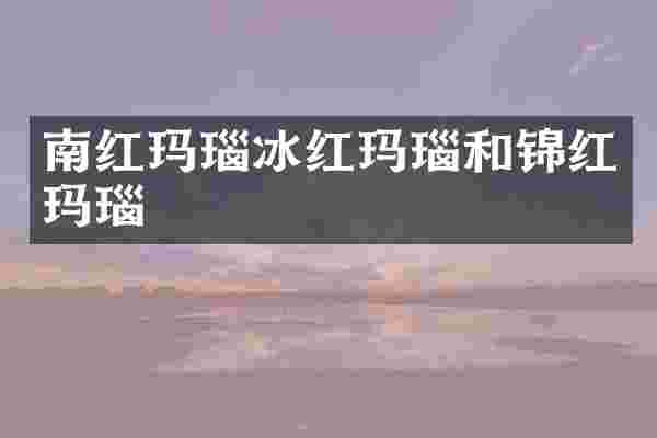 南红玛瑙冰红玛瑙和锦红玛瑙