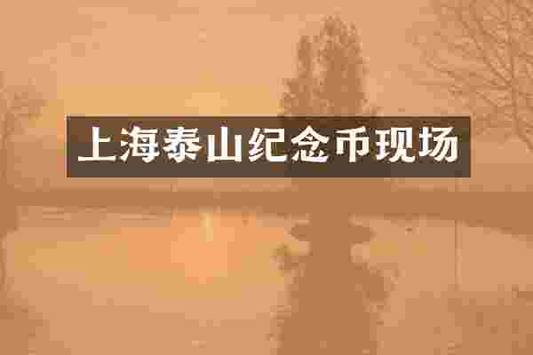 上海泰山纪念币现场