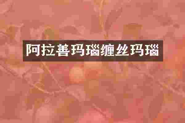 阿拉善玛瑙缠丝玛瑙