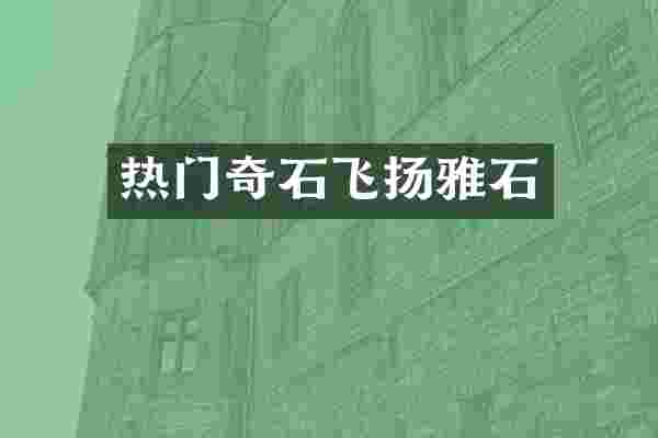 热门奇石飞扬雅石