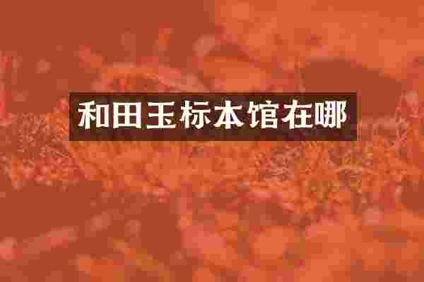 和田玉标本馆在哪
