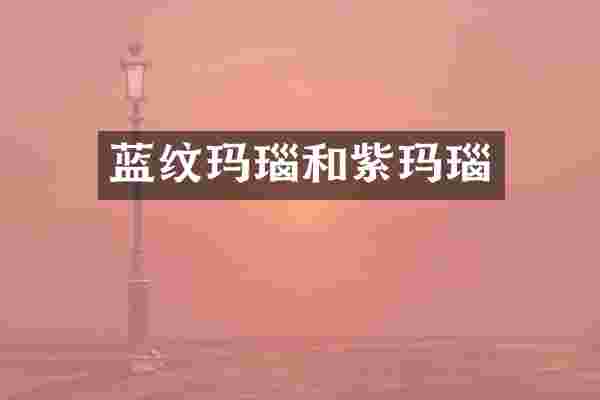 蓝纹玛瑙和紫玛瑙
