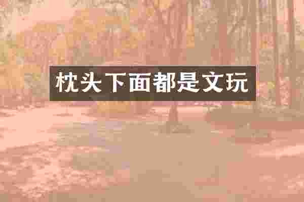 枕头下面都是文玩