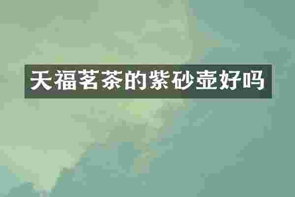 天福茗茶的紫砂壶好吗