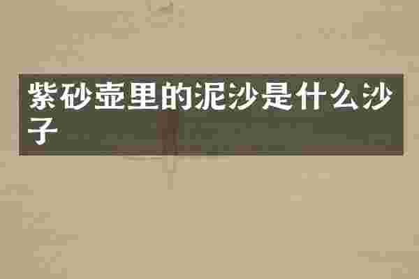 紫砂壶里的泥沙是什么沙子