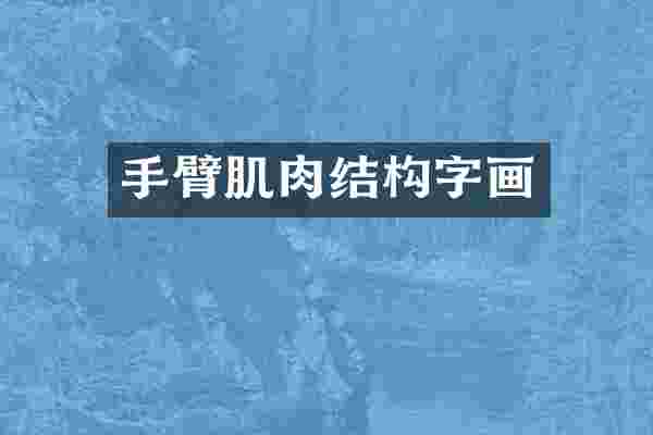 手臂肌肉结构字画