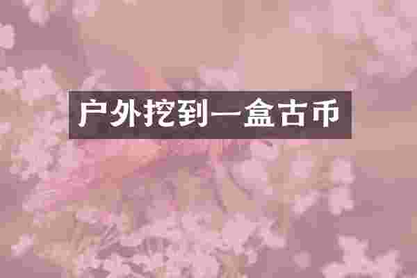 户外挖到一盒古币