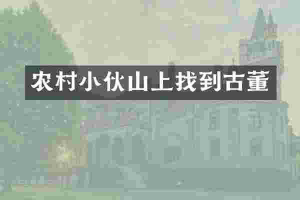 农村小伙山上找到古董