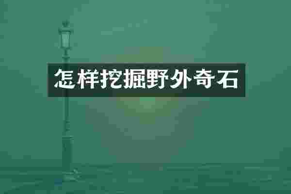 怎样挖掘野外奇石