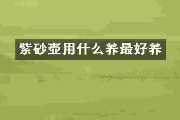 紫砂壶用什么养最好养