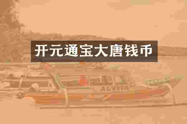 开元通宝大唐钱币