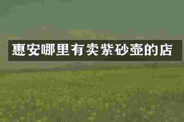 惠安哪里有卖紫砂壶的店