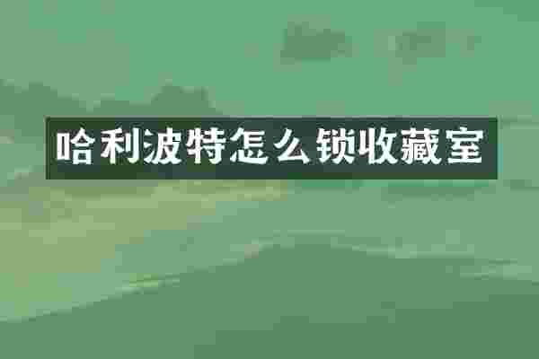 哈利波特怎么锁收藏室