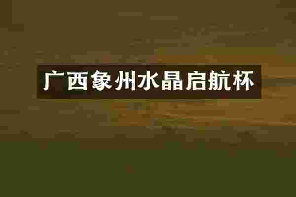 广西象州水晶启航杯
