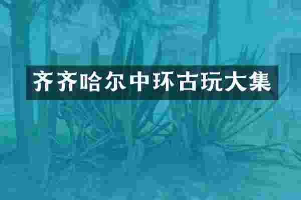 齐齐哈尔中环古玩大集