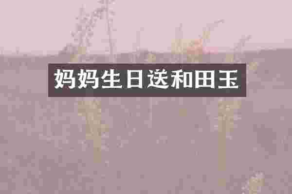 妈妈生日送和田玉