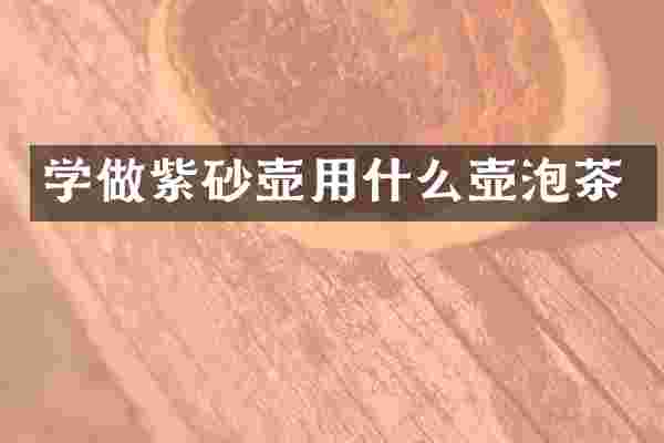学做紫砂壶用什么壶泡茶