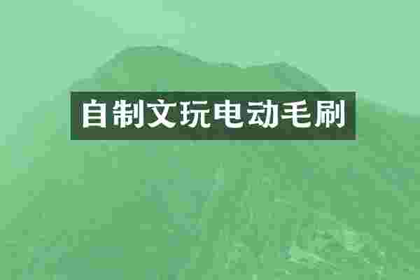 自制文玩电动毛刷