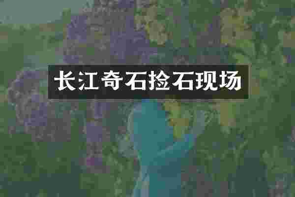 长江奇石捡石现场