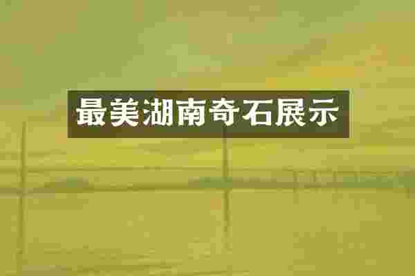最美湖南奇石展示