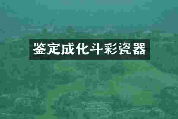 鉴定成化斗彩瓷器