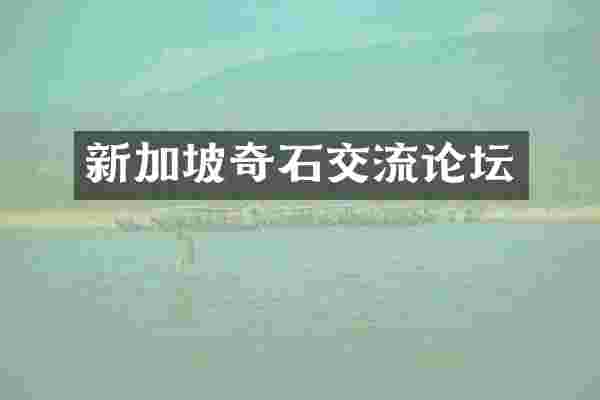 新加坡奇石交流论坛