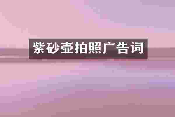 紫砂壶拍照广告词