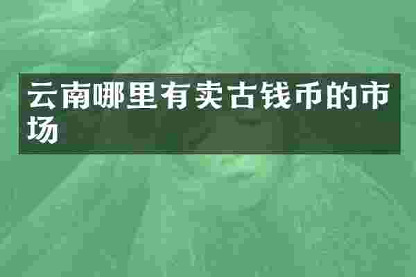 云南哪里有卖古钱币的市场