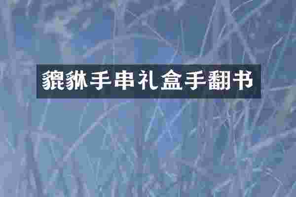 貔貅手串礼盒手翻书