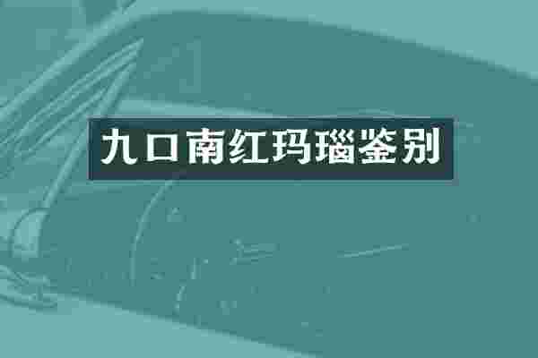 九口南红玛瑙鉴别