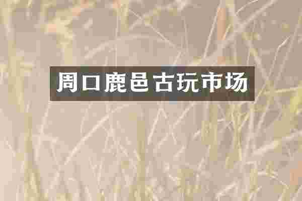 周口鹿邑古玩市场