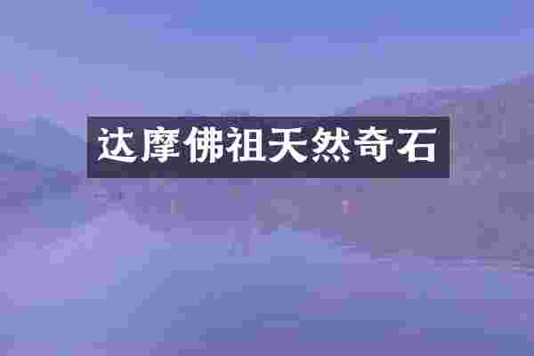 达摩佛祖天然奇石