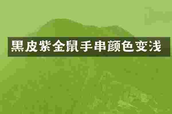 黑皮紫金鼠手串颜色变浅