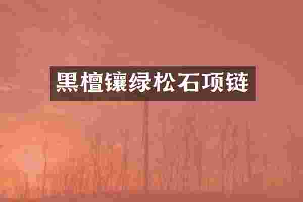黑檀镶绿松石项链